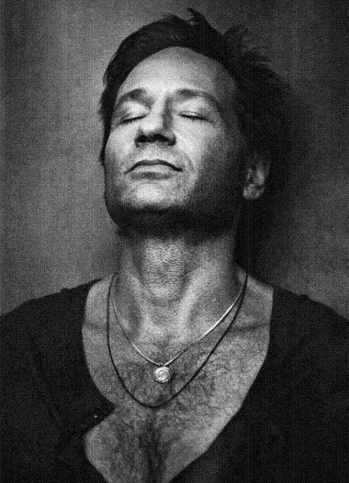 david_duchovny_chlupy_small.jpg