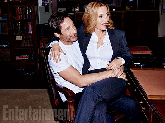 entertainment-weekly-david-gillian-001.png