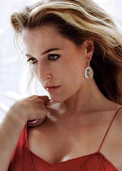 gillian-anderson-psychologies-magazine-december-2010-gemma-005-smaller.jpg