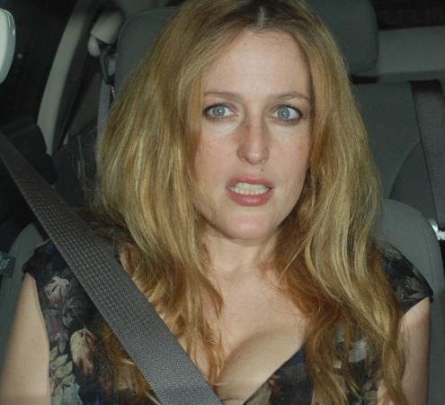 gillian_anderson_beverly_hills_22_02_2009_small.jpg