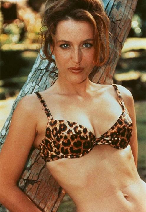 gillian_anderson_havaj_a_small.jpg