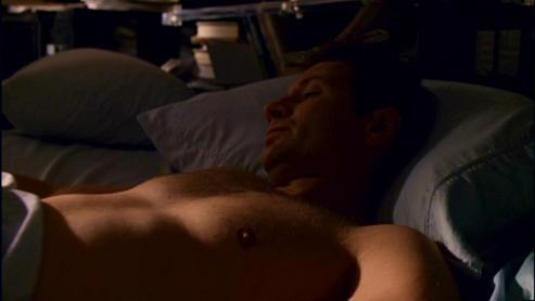 sexy_upo_mulder_small.jpg