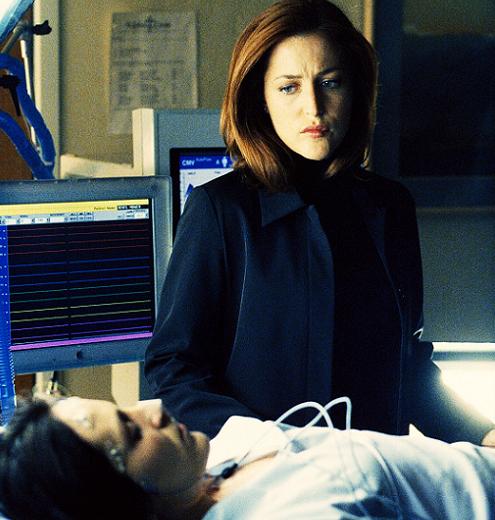 xfiles-audrey-pauley-scully-reyes-small.jpg