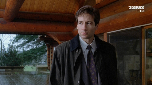 xfiles-mulder-hd-011-small.png