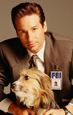 xfiles-promo-david-duchovny-and-blue-002-small.jpg